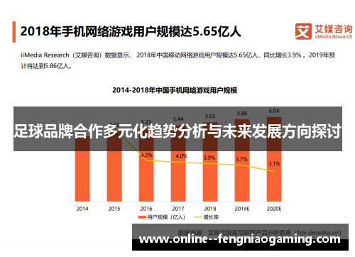 足球品牌合作多元化趋势分析与未来发展方向探讨 足球品牌合作多元化趋势分析与未来发展方向探讨