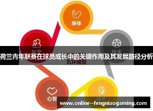 荷兰青年联赛在球员成长中的关键作用及其发展路径分析 荷兰青年联赛在球员成长中的关键作用及其发展路径分析