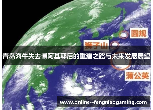 青岛海牛失去博阿基耶后的重建之路与未来发展展望 青岛海牛失去博阿基耶后的重建之路与未来发展展望