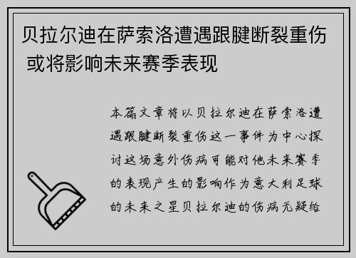 贝拉尔迪在萨索洛遭遇跟腱断裂重伤 或将影响未来赛季表现