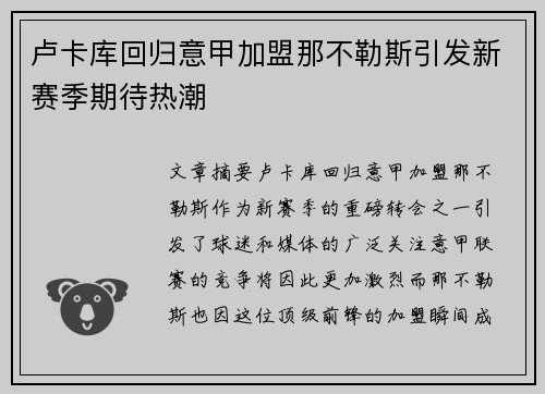 卢卡库回归意甲加盟那不勒斯引发新赛季期待热潮